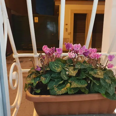 Holiday home My Life *