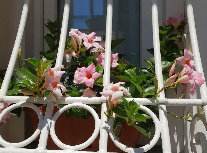 My Life Дом отдыха Помпеи